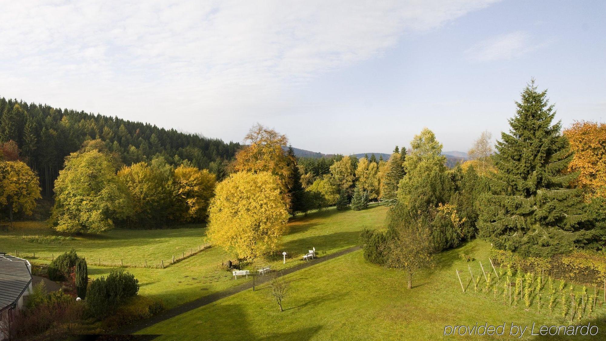 Hotel Jagdhaus Wiese Schmallenberg Extérieur photo