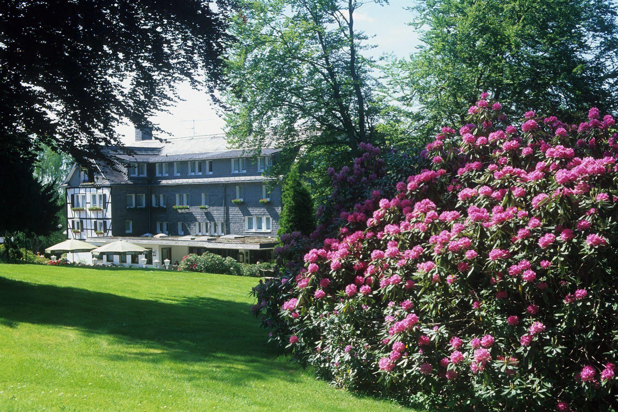 Hotel Jagdhaus Wiese Schmallenberg Extérieur photo